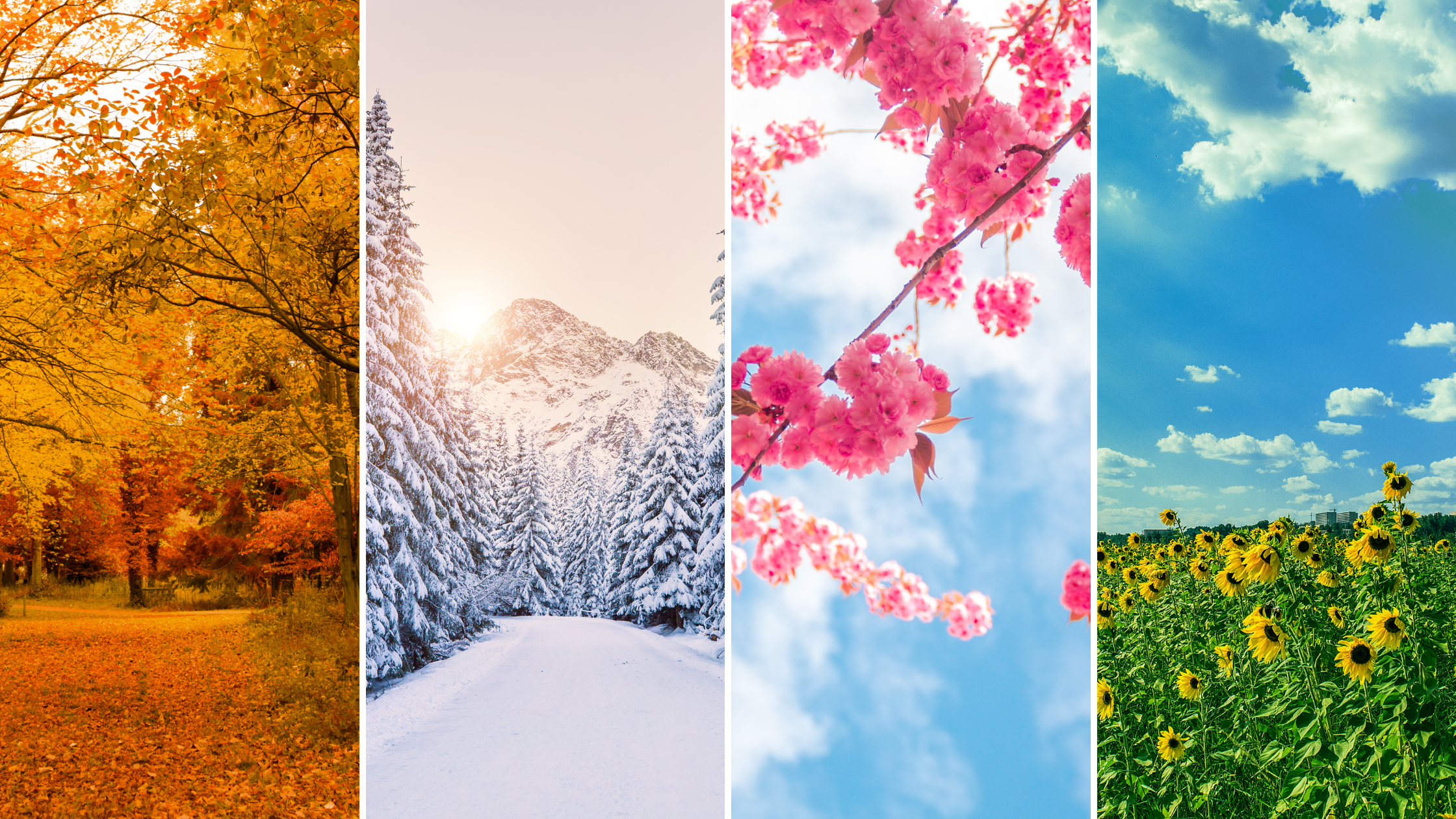 idojaras_vedelem_arnyekolas